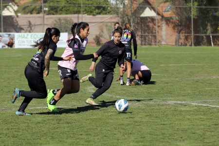 Dirección del Trabajo multó a 25 clubes del fútbol femenino por infracciones laborales