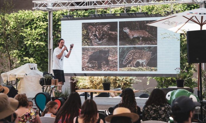Festival Ladera Sur en Las Condes