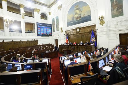 Comenzó la votación de artículos en el Pleno del Consejo Constitucional