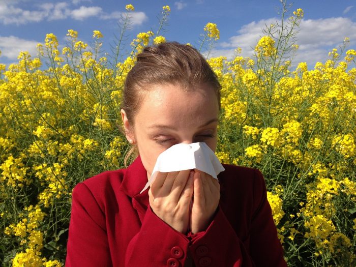 Recomiendan compuestos naturales para derrotar a las alergias