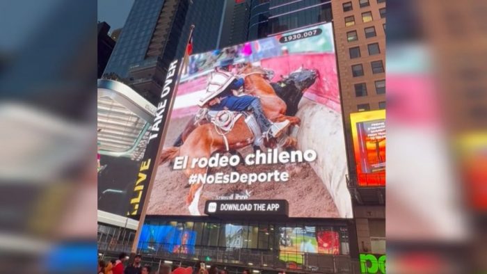 Publican en Times Square mensaje en contra del rodeo: “No es deporte”