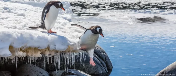 Antártida: la amenaza de la explotación de recursos