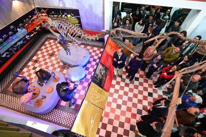 En su primera semana “Dinosaurios más allá de la extinción” sumó más de 7 mil personas