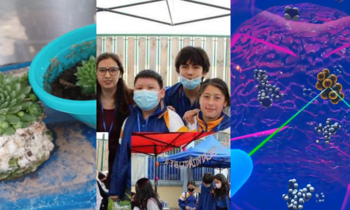 Tres proyectos que promueven la ciencia y educación medioambiental en la Región de Valparaíso