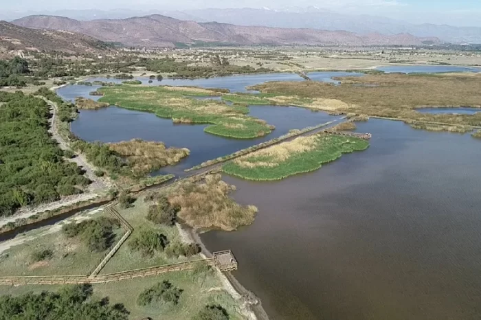 Humedal Batuco: el santuario de la naturaleza clave que podría ser  afectado por la crisis hídrica