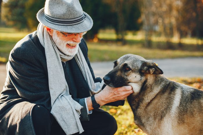 Cómo compartir la vida con un perro de avanzada edad