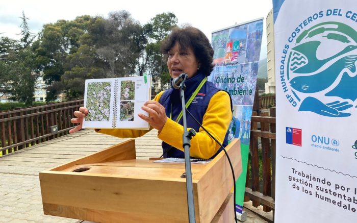 Lanzan “Guía de flora hidrófila” para apoyar la protección de humedales en Chile
