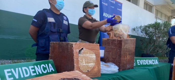 Descubren envío de drogas desde Arica, cuyo destino final era Irán