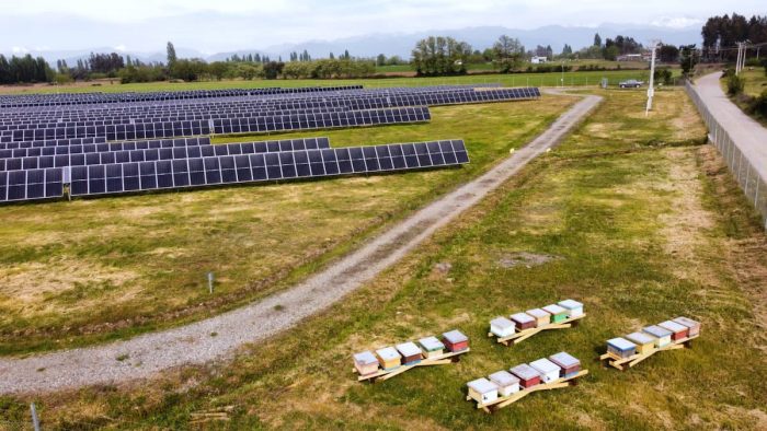 Colmenas fotovoltaicas, una nueva tendencia de economía circular