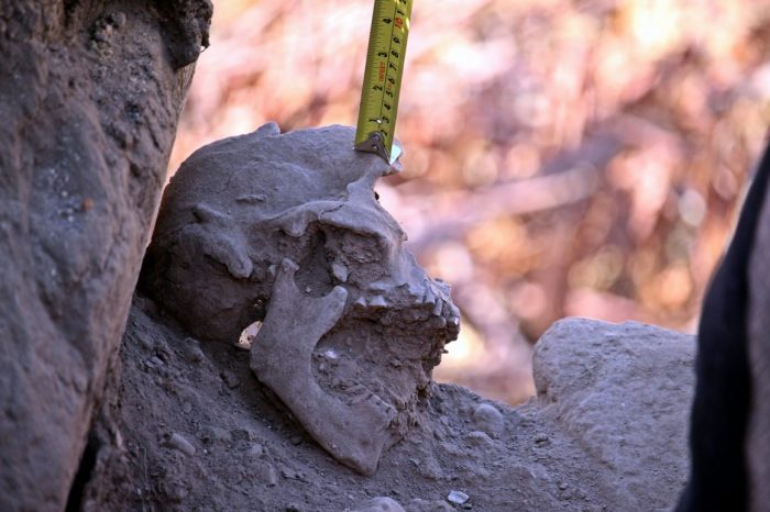 Hallan osamentas humanas de 5.000 años en región de Coquimbo