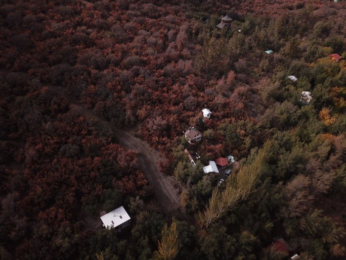 Constatan masiva pérdida de verdor en bosque esclerófilo chileno a causa de la sequía