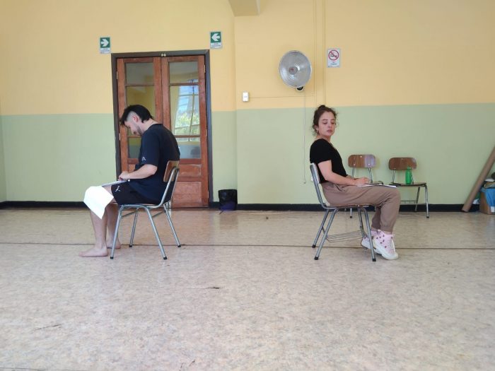 Primer Festival de Mediaciones Teatrales en Concepción