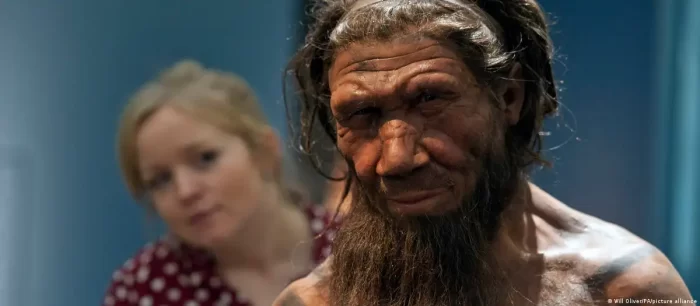 Ser ‘madrugador’, ¿una ventaja evolutiva neandertal?