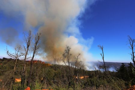 Incendio en Limache permanece activo: se contabilizan 500 hectáreas quemadas