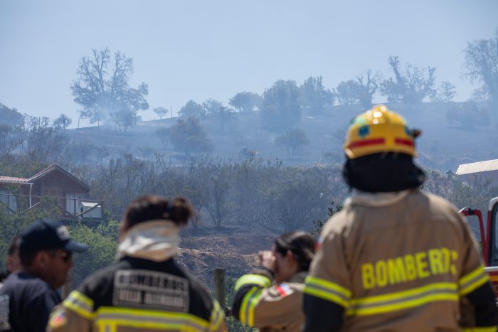 Conaf e incendios forestales: “Fueron ocasionados por actos negligentes”