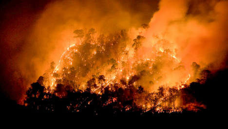 Alerta roja: Observatorio Climático anticipa alto riesgo de incendios forestales para Navidad