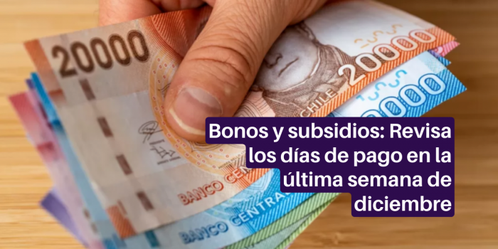 Revisa Qué Bonos Y Subsidios Se Pagan La última Semana De Diciembre