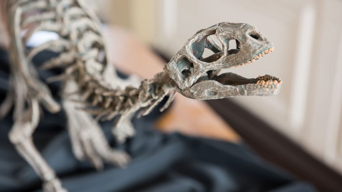 Exposición “Dinosaurios, más allá de la extinción” en Valparaíso