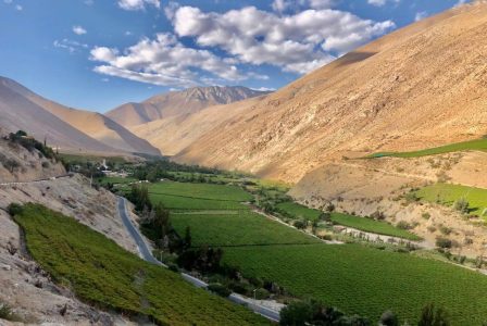 “Chile es el único país del mundo que ya elaboraba pisco en la época colonial", asegura historiador