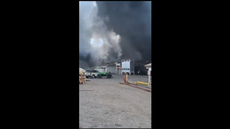 Bomberos trabajan en incendio en Olivar: las llamas afectan a una empresa de packing