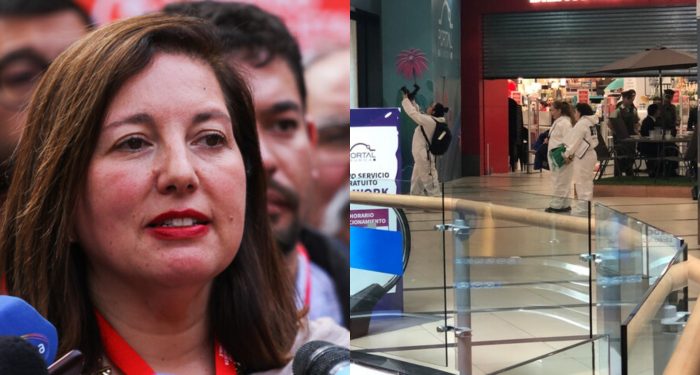 Senadora Vodanovic entre testigos de violento intento de asalto a tiros en mall Portal Ñuñoa