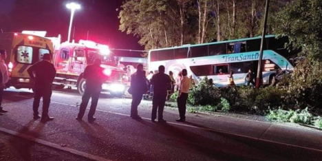 Chófer quiso evitar atropellar a un perro: 30 lesionados en Gorbea por accidente de bus