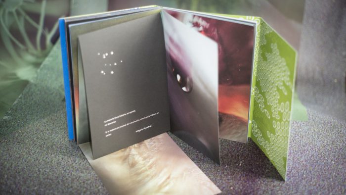 Úvula: un fotolibro para visitar micromundos y observar lo invisible