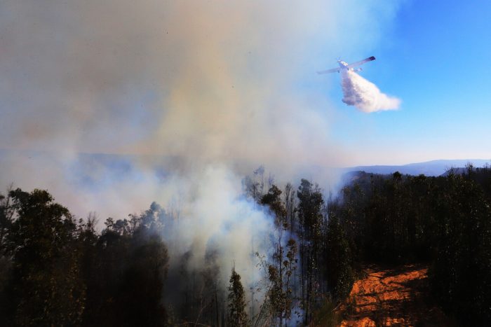 Autoridades informan que más de 3.400 hectáreas han sido afectadas por incendios forestales