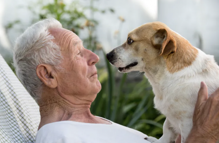 Los contradictorios efectos psicológicos de las mascotas en las personas mayore