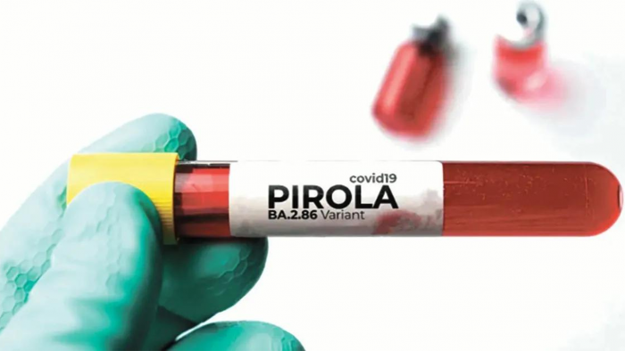 Busca con tu RUT si corresponde vacunarte contra el Covid-19 tras la nueva variante Pirola