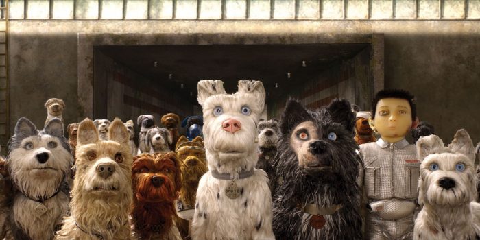 Sala de Cine de Ñuñoa invita a una nueva función dog friendly
