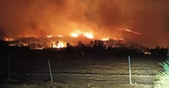 Incendio forestal en el Maule ha consumido más de 500 hectáreas: han evacuado a 100 personas