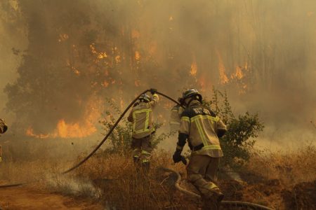 A 16 personas se eleva el número de detenidos por incendios forestales en La Araucanía