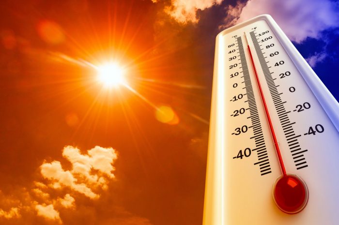 Proyecto piloto que busca disminuir la temperatura de las zonas más afectadas por el calor