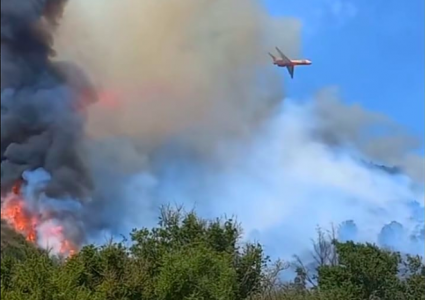 Incendio forestal amenaza la comuna de Casablanca en la Región de Valparaíso