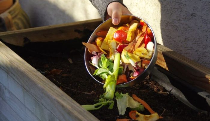 Cómo hacer compost en casa: guía paso a paso para aprovechar los residuos orgánicos
