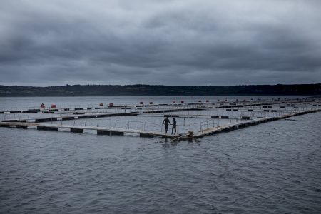 Documental “A Salmon Nation”
