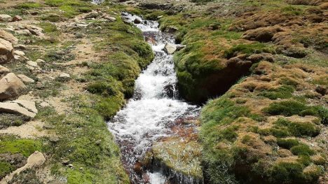 Minera destinará para conservación terrenos del Santuario de la Naturaleza ubicado en Lo Barnechea