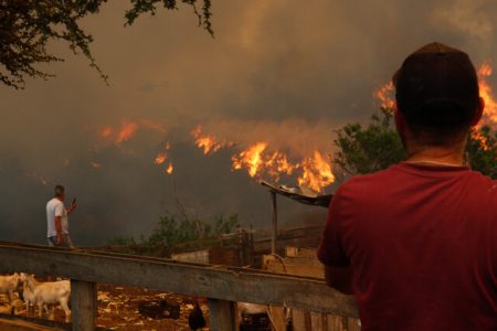 Tragedia en Valparaíso: Aumenta a 122 la cifra de muertos por incendios forestales