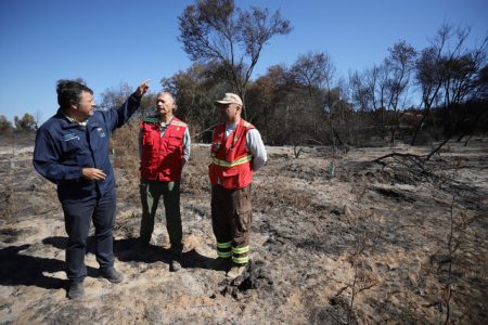 Ministro Valenzuela apunta a “clara organización criminal” detrás de intencionalidad en incendios
