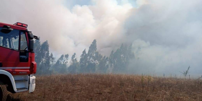 Senapred declaró Alerta Roja en Tirúa por incendio forestal: ordenan evacuar dos sectores