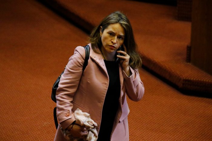 Cronología de una “movida”: cómo Joanna Pérez llegó a ser candidata para presidir la Cámara