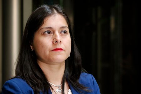 Karen Medina (PDG) sobre censura de Republicanos a la mesa de la Cámara: “No estoy de acuerdo”