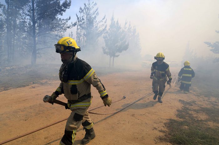 Senapred activa alerta SAE por incendio forestal y ordena evacuar tres sectores de Villarica