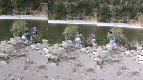 Mujer empuja a adulto mayor a río Achibueno alegando que invadía propiedad privada de su camping