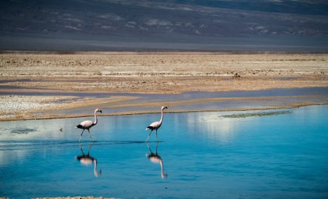 Puerto Varas y San Pedro de Atacama, destinos imperdibles para renovar energías este otoño invierno