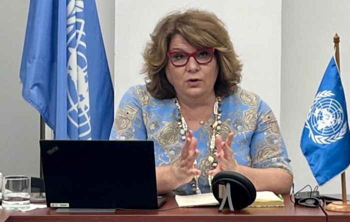 Tras visita a Chile: relatora de la ONU llama a aumentar el presupuesto estatal destinado a cultura