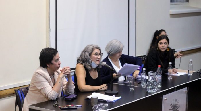 Organizaciones feministas reflexionan tras informe de violencia contra las mujeres en Chile