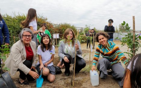Clases en la naturaleza: lanzan programa de plantación de árboles nativos en colegios