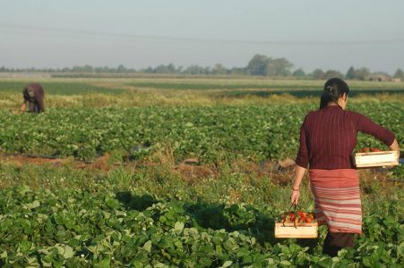 Nuestras mujeres rurales